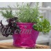 BloemBagz Mini Herb Hanging Planter Grow Bag 1.5 Gallon Amaranth   567737319